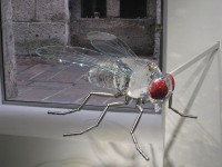 Swarovski- Kristallwelten