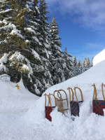 Rodeln am Kranzberg