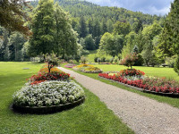 Kurpark am Burgberg